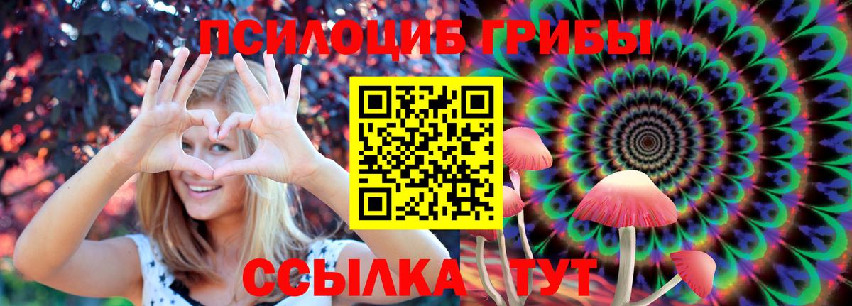 Псилоцибиновые грибы Psilocybine cubensis Уварово